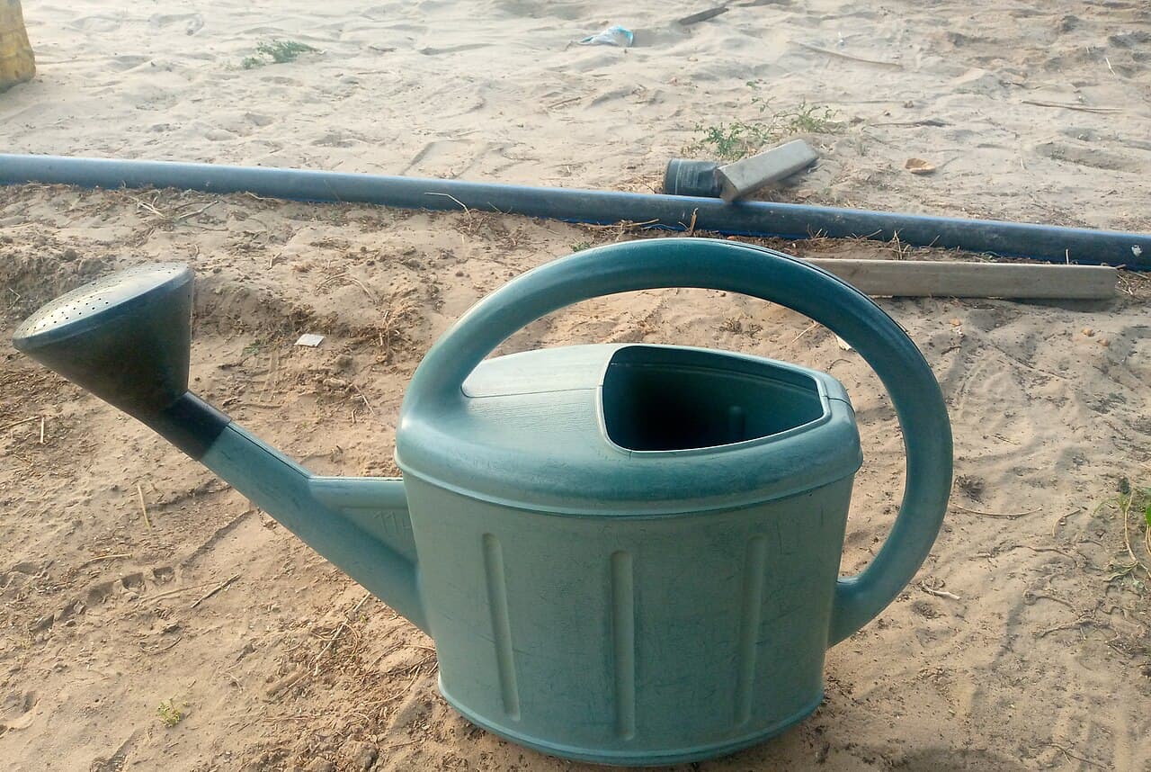 A green watering can used for watering houseplants